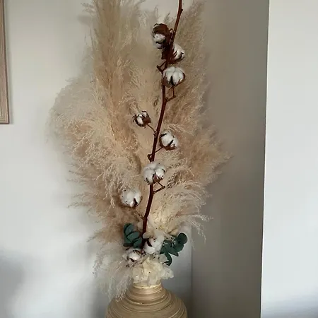 Le Petit Paradis Semesterbostad Cassel