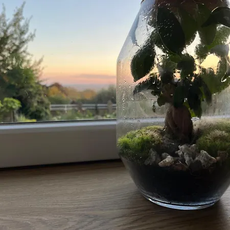 Le Petit Paradis * Cassel