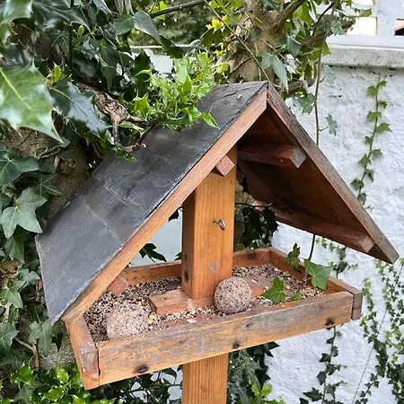 Le Petit Paradis Semesterbostad