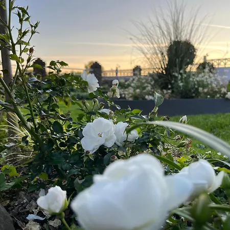 Semesterbostad Le Petit Paradis