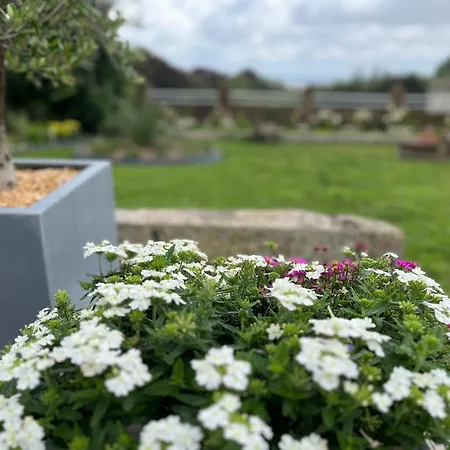 Le Petit Paradis Semesterbostad *