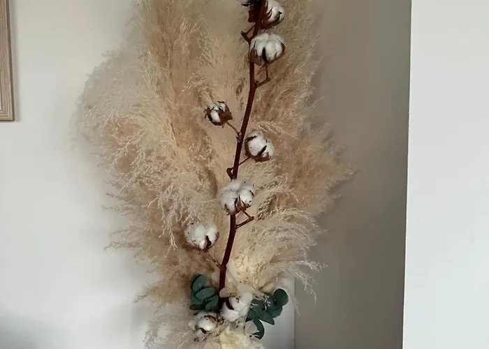 Le Petit Paradis Casa vacanze Cassel