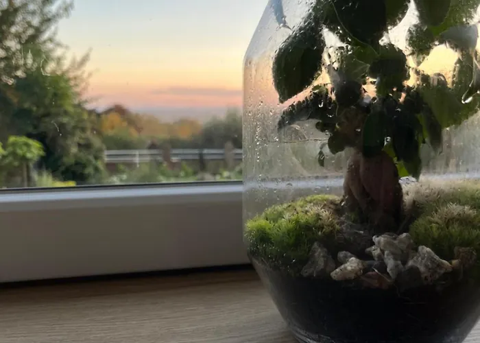 Le Petit Paradis * Cassel