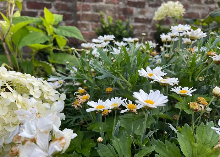 Le Petit Paradis Cassel