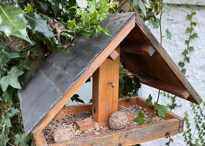 Le Petit Paradis Casa vacanze