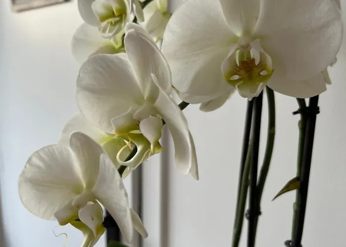 Casa vacanze Le Petit Paradis