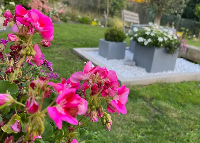 Casa vacanze Le Petit Paradis *