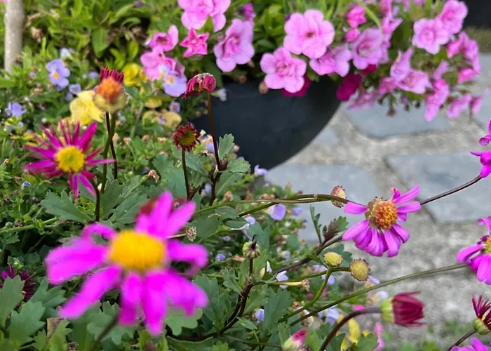 Le Petit Paradis Casa vacanze *