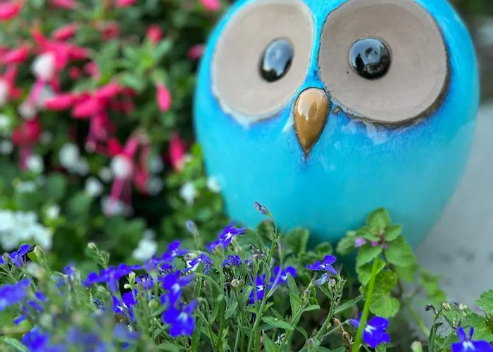 Le Petit Paradis Casa vacanze