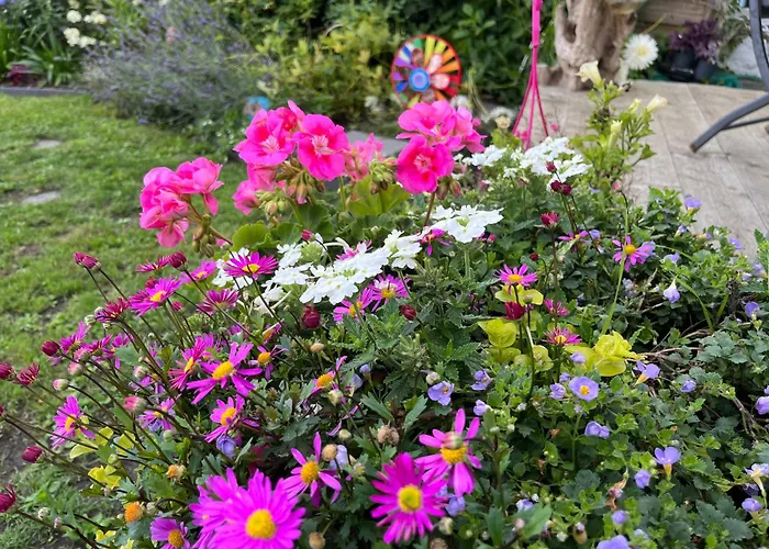 Le Petit Paradis Casa vacanze