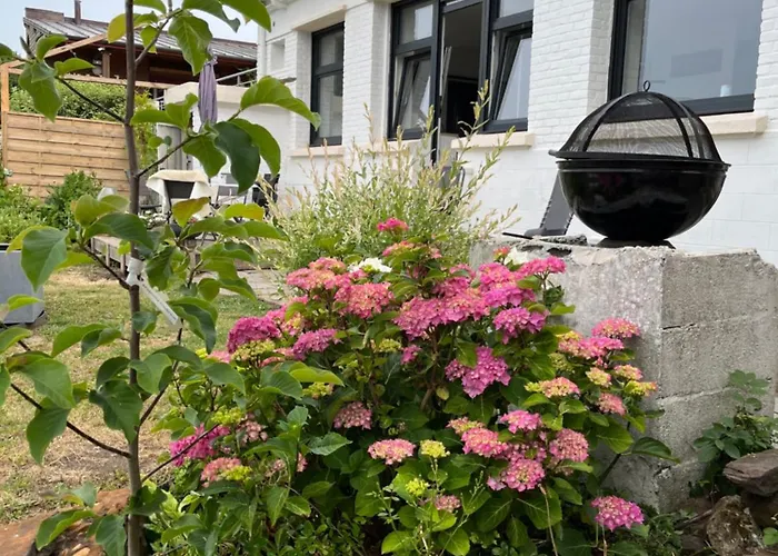 Casa vacanze Le Petit Paradis Cassel